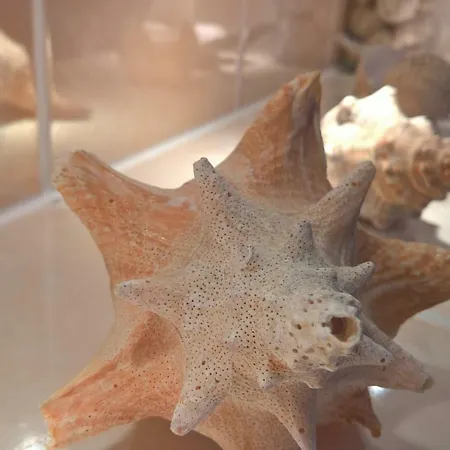 Markt 7 Daire Mucheln