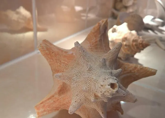 Markt 7 아파트 Mucheln