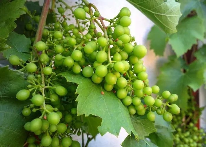 아파트 Markt 7 Mucheln